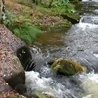 DSCN5775