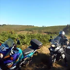 DSCN7702