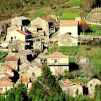 15-IMG_4220