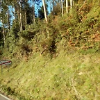 DSCN9468