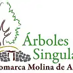 arboles_logo_rbg_logo