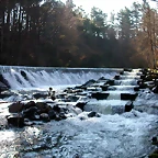 DSCN1477