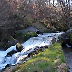 DSCN1493