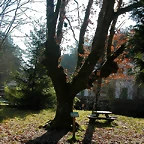 DSCN1472