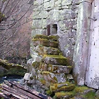 DSCN1500