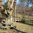DSCN1474