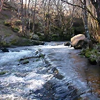 DSCN1495