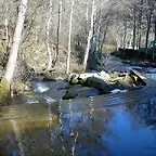 DSCN1481