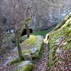 DSCN1484