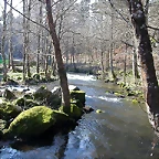 DSCN1476