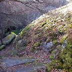 DSCN1482