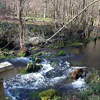 DSCN1475
