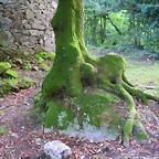 53-IMG_2752