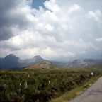DSCN3553