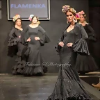 Pasarela 12-2-2015 (53)