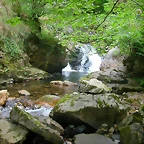 DSCN3771