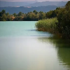 laguna hoy