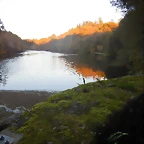 DSCN8998
