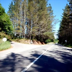 DSCN2298