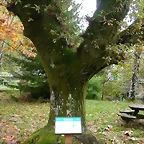 DSCN5799