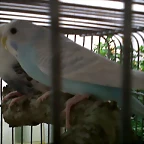 IMG00010-20101008-1621