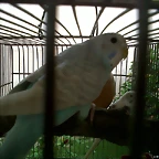 IMG00011-20101008-1622