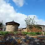 DSCN8394