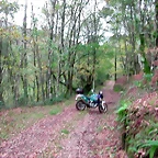 DSCN6286