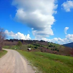 DSCN4919