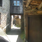 DSCN5817