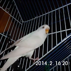 CIMG0099