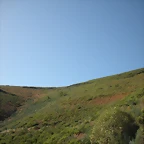 DSCN0059