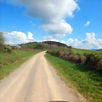 DSCN4925