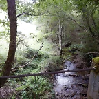 DSCN7189
