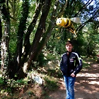 DSCN2797