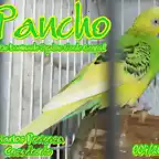 2010 004 PANCHO