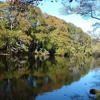 DSCN6359
