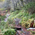DSCN0790