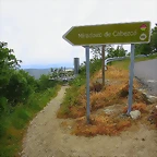 046-IMG_1603