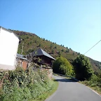DSCN6981
