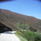 DSCF2633
