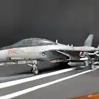 F-14Foto10