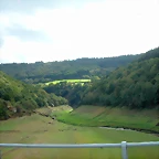 DSCN5545
