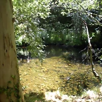 DSCN6658