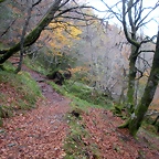 DSCN0688