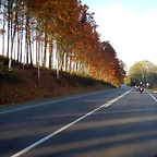 DSCN0490