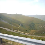 DSCN8953