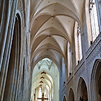 Catedral. Nave central