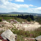 DSCN5376