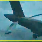 Untitleddcz12